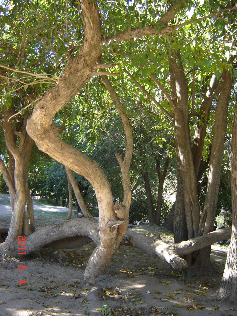 Foto: Río Panaholma - Cura Brochero (Córdoba), Argentina