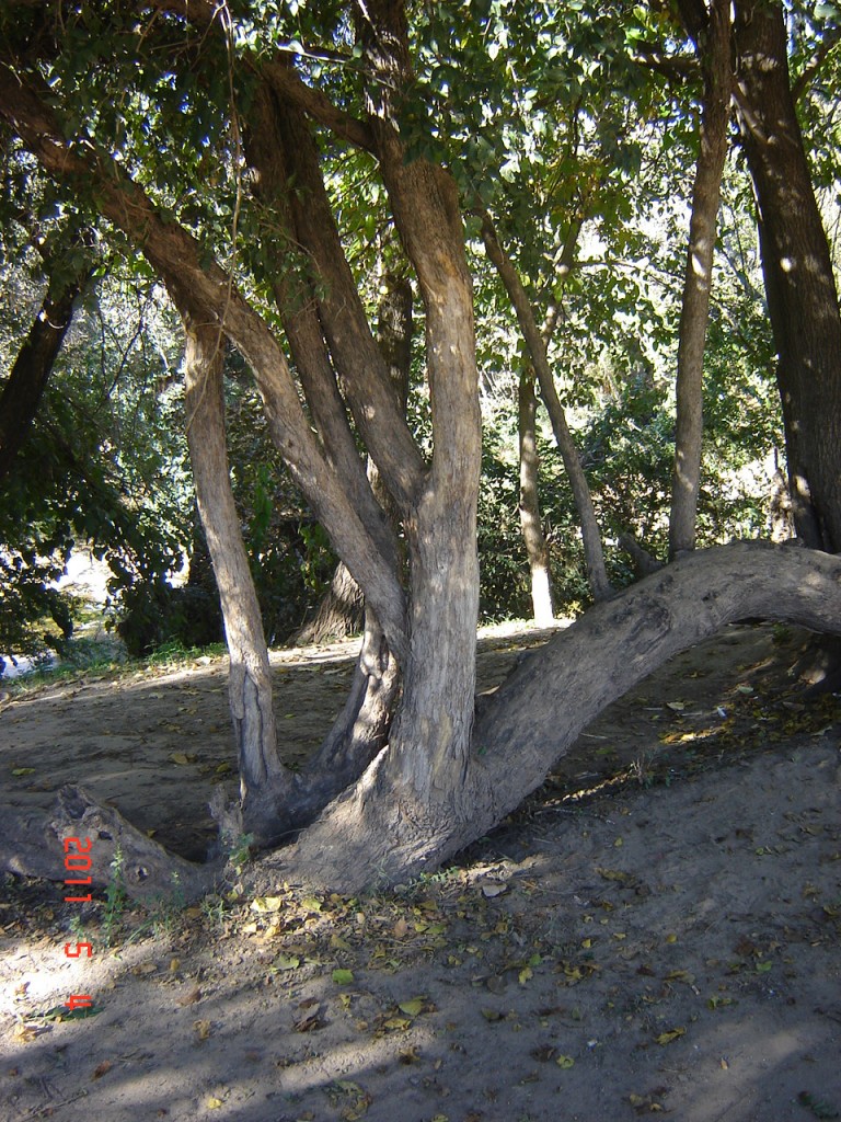 Foto: Río Panaholma - Cura Brochero (Córdoba), Argentina
