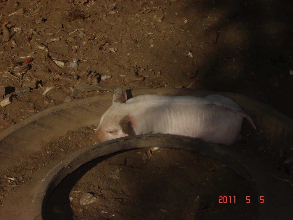 Foto: Los Túneles - Los Taninga (Córdoba), Argentina