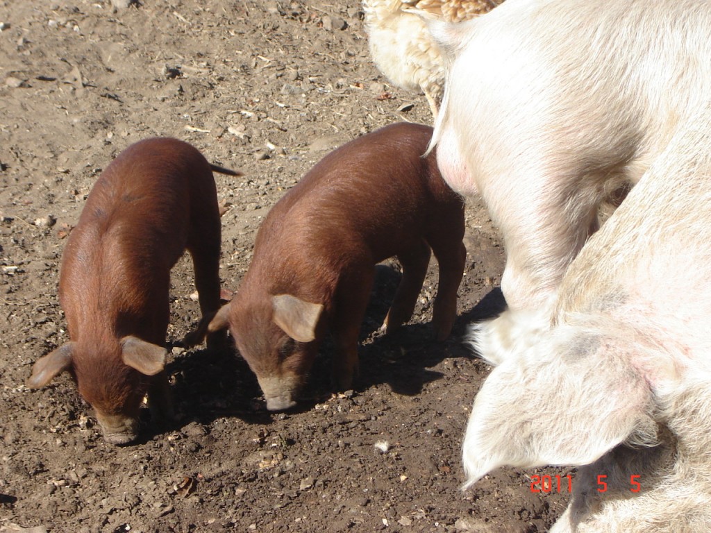 Foto: Los Túneles - Los Taninga (Córdoba), Argentina
