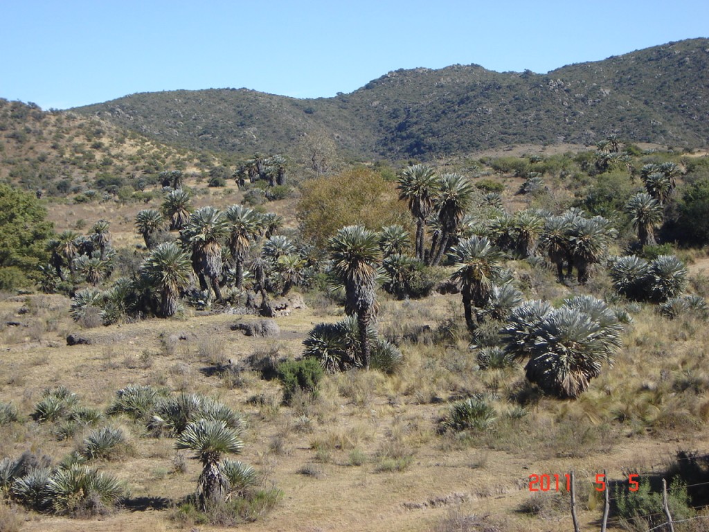 Foto: Los Túneles - Taninga (Córdoba), Argentina