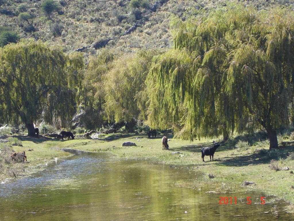 Foto: Los Túneles - Taninga (Córdoba), Argentina