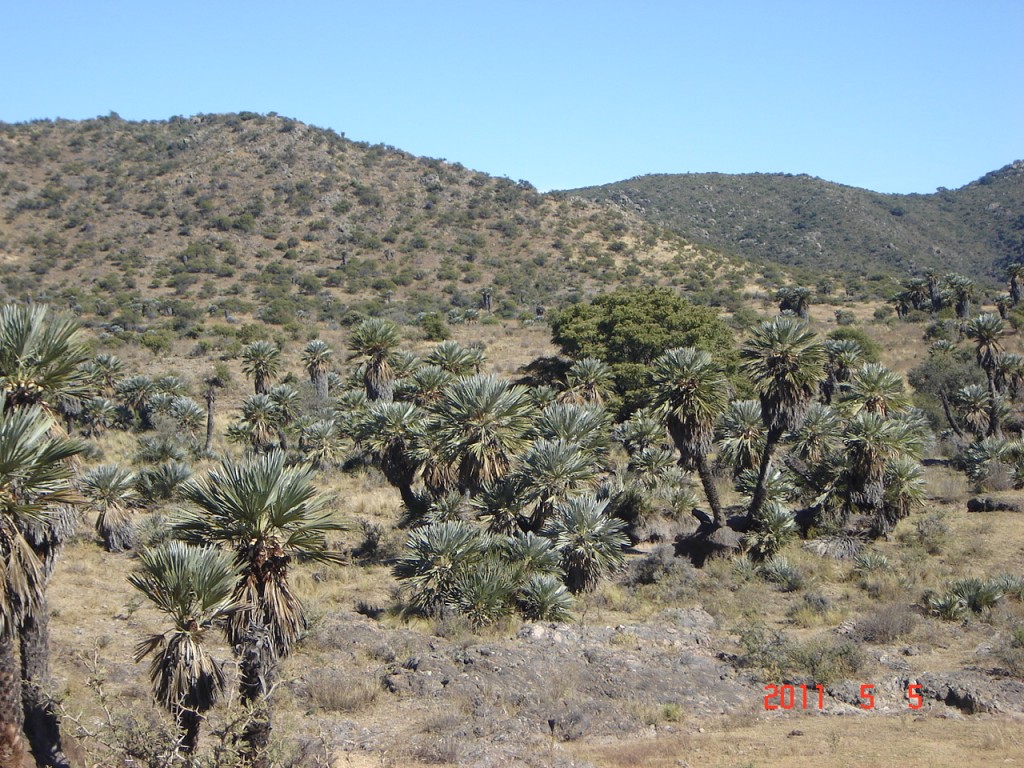 Foto: Los Túneles - Los Taninga (Córdoba), Argentina