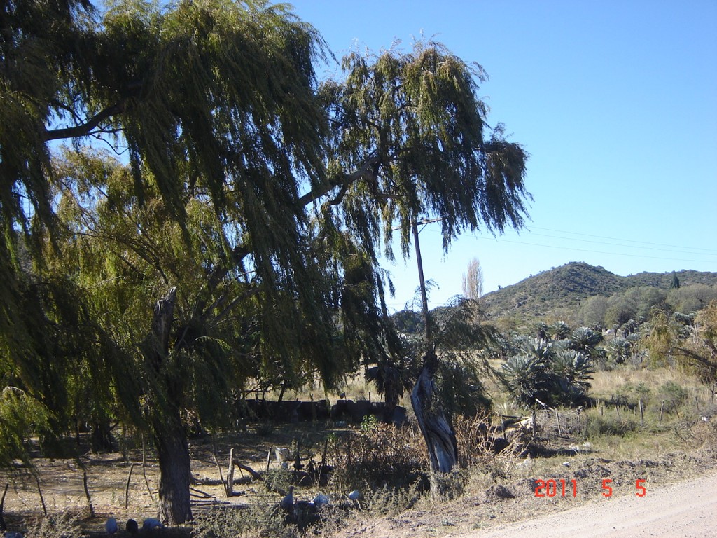 Foto: Corral - Salsacate (Córdoba), Argentina
