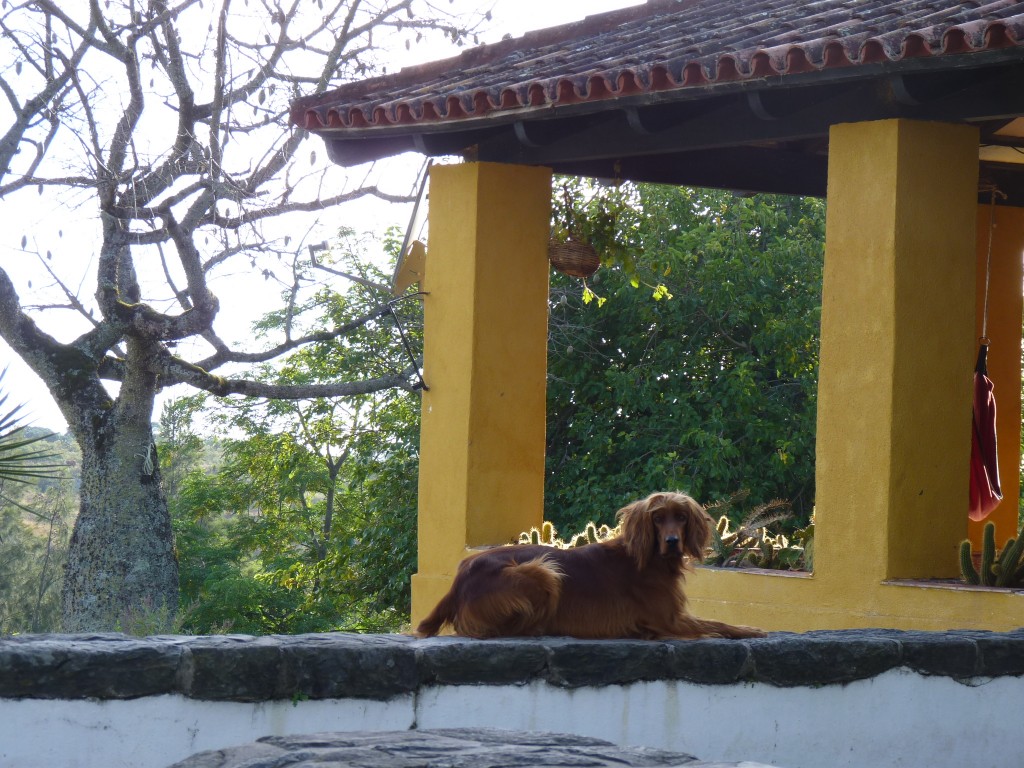 Foto: Hostería Paso del Indio - Ancasti (Catamarca), Argentina