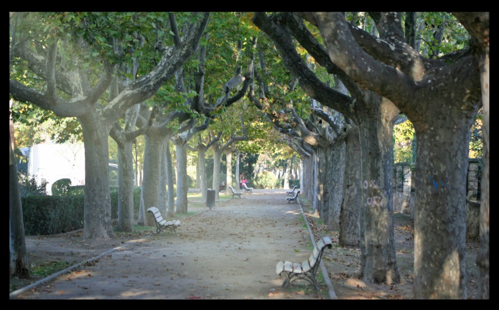 Foto: Parque - Zaragoza (Aragón), España