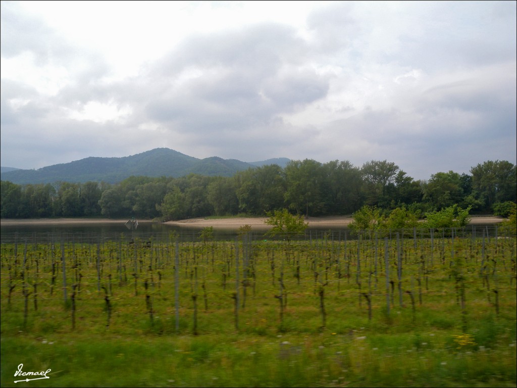 Foto: 110501-014 MELK - Melk (Vienna), Austria