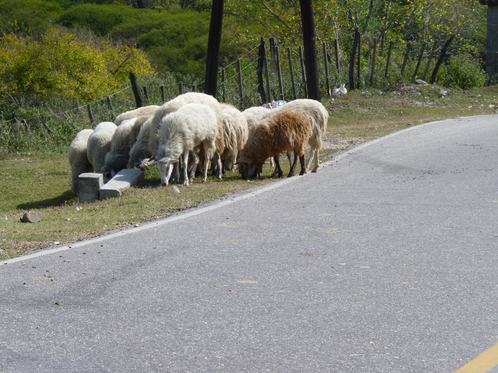 Foto: Camino a Ancasti - Ancasti (Catamarca), Argentina