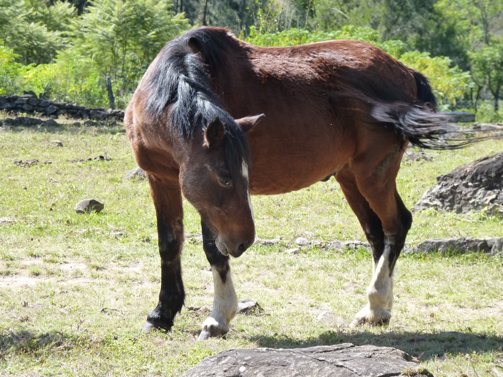 Foto: Hostería Paso del Indio - Ancasti (Catamarca), Argentina