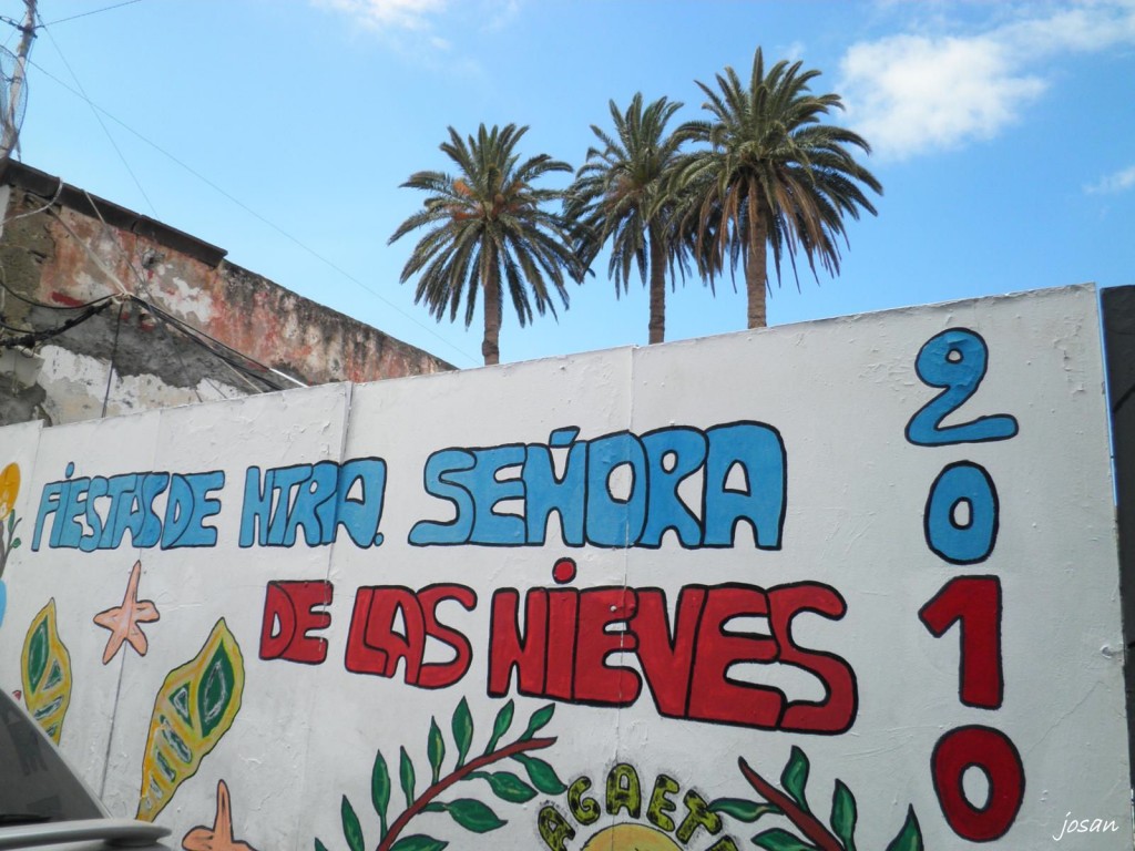 Foto: fiesta de la rama - Agaete (Las Palmas), España