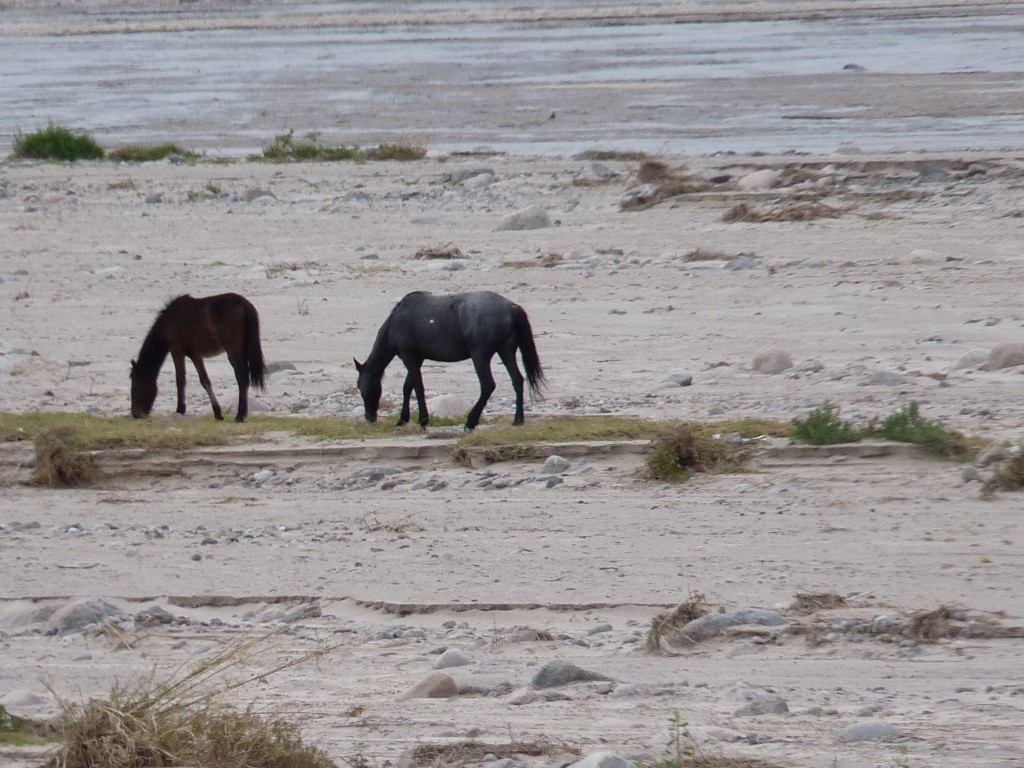 Foto: Río Belén - Belén (Catamarca), Argentina