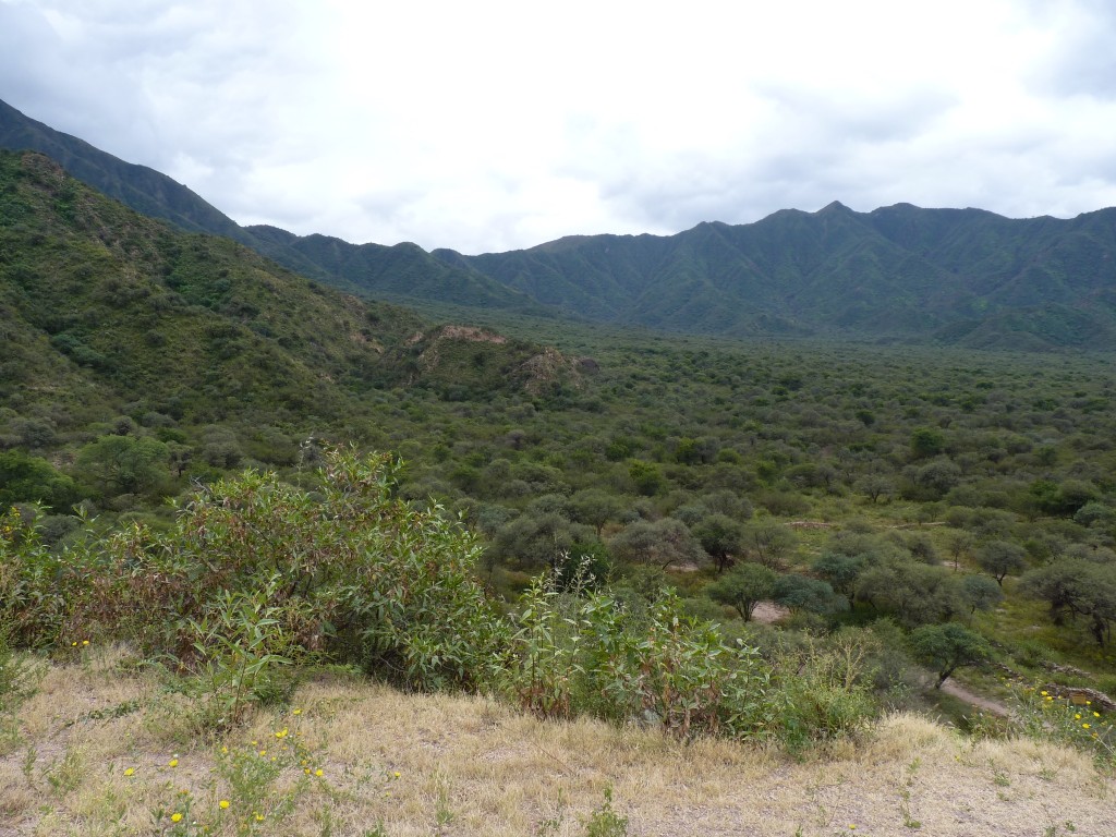 Foto: El Shincal - Londres (Catamarca), Argentina