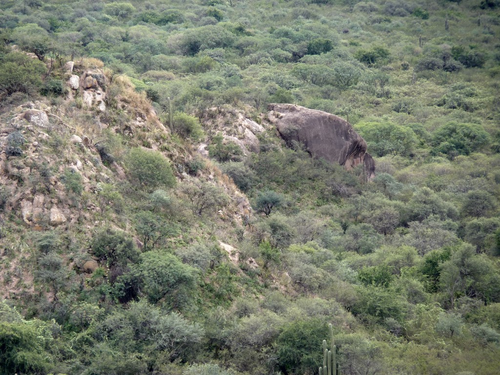 Foto: El Shincal - Londres (Catamarca), Argentina