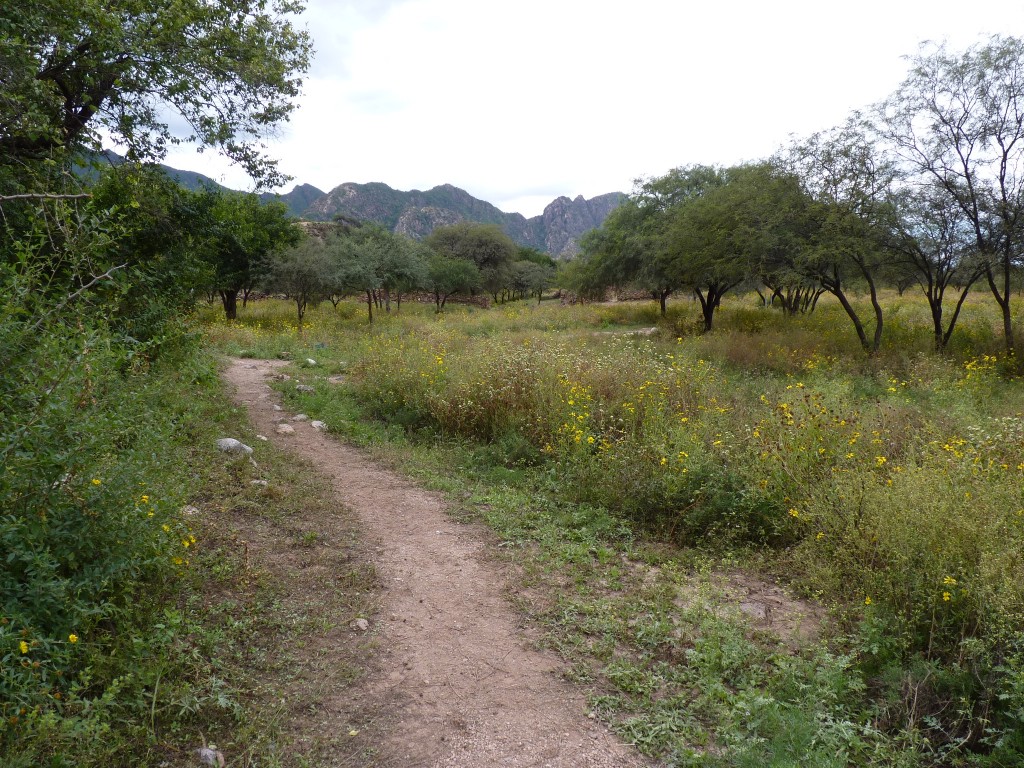 Foto: El Shincal - Londres (Catamarca), Argentina