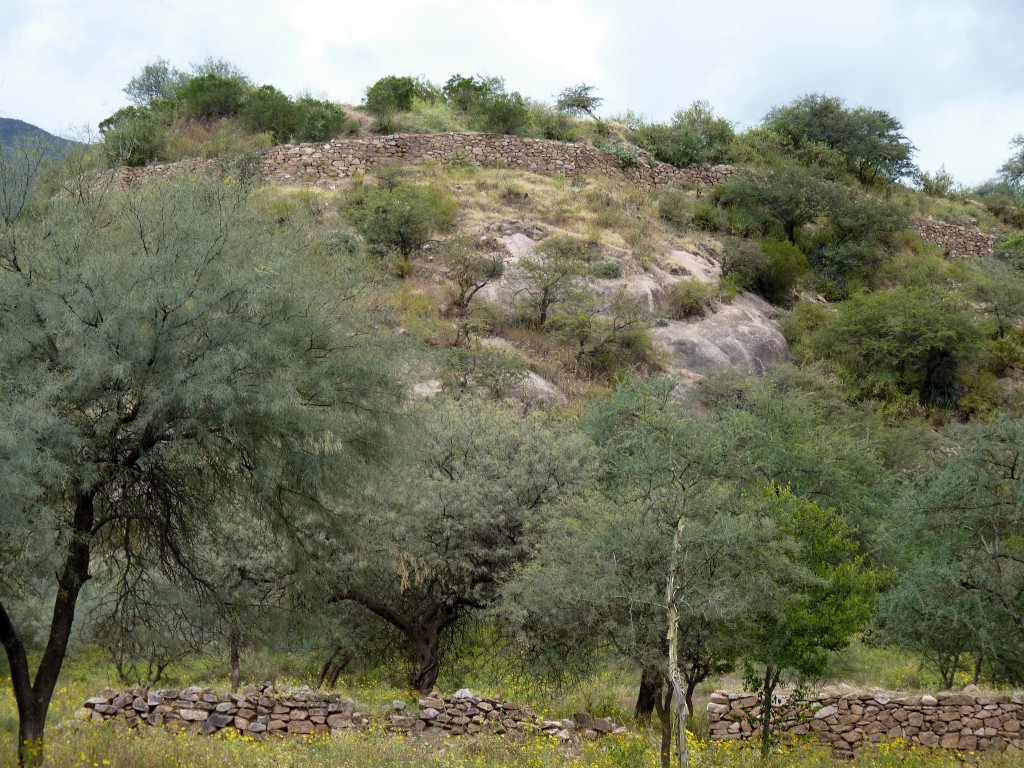 Foto: Ruinas El Shincal - Londres (Catamarca), Argentina