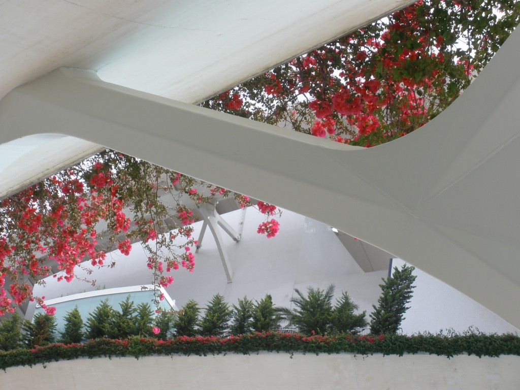 Foto: Ciudad de las Ciencias - Valencia (València), España