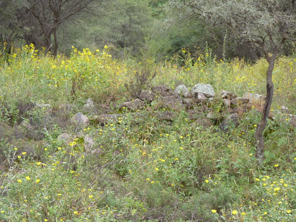 Foto: Ruinas de El Shincal - Londres (Catamarca), Argentina