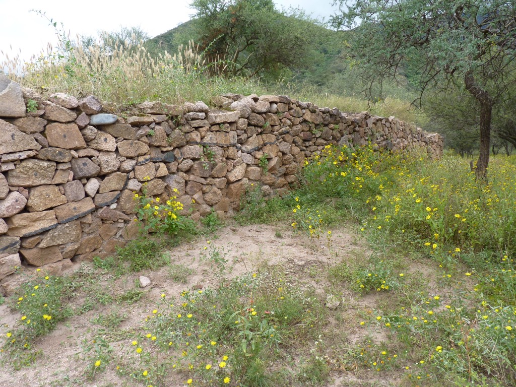 Foto: El Shincal - Londres (Catamarca), Argentina