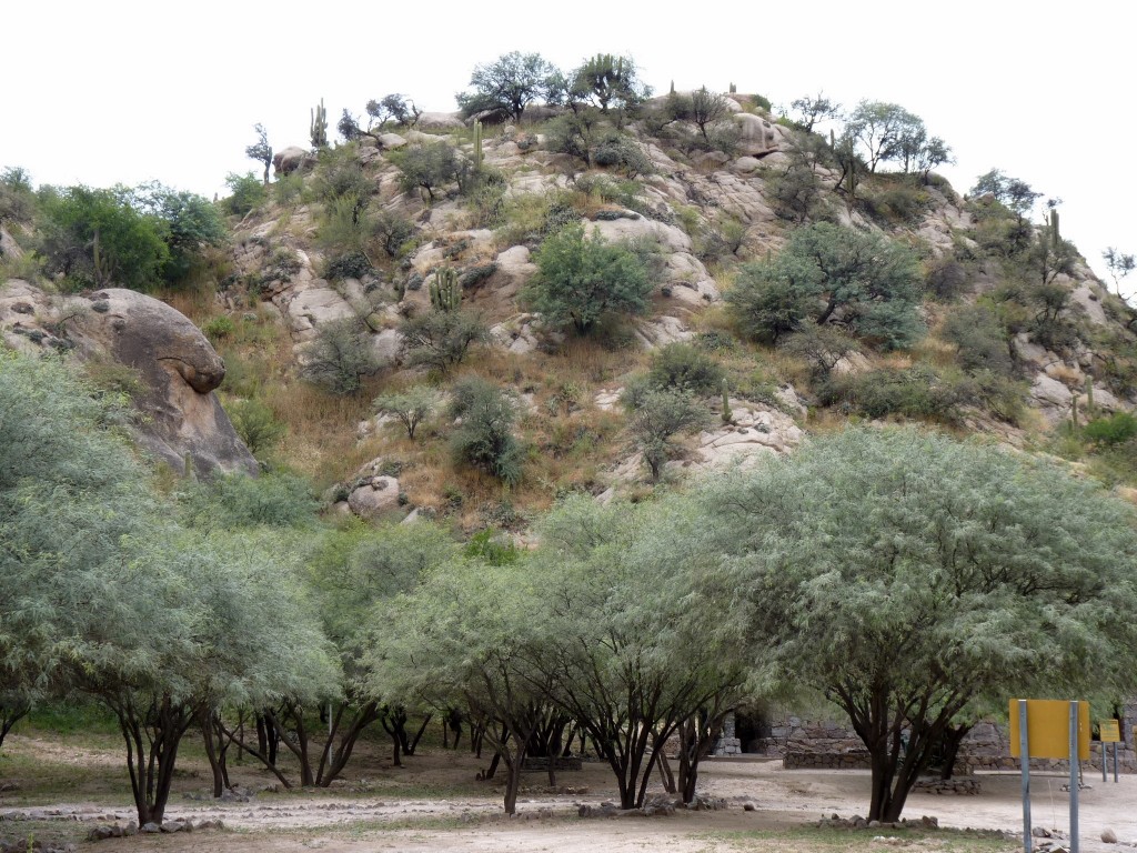 Foto: Ruinas El Shincal - Londres (Catamarca), Argentina