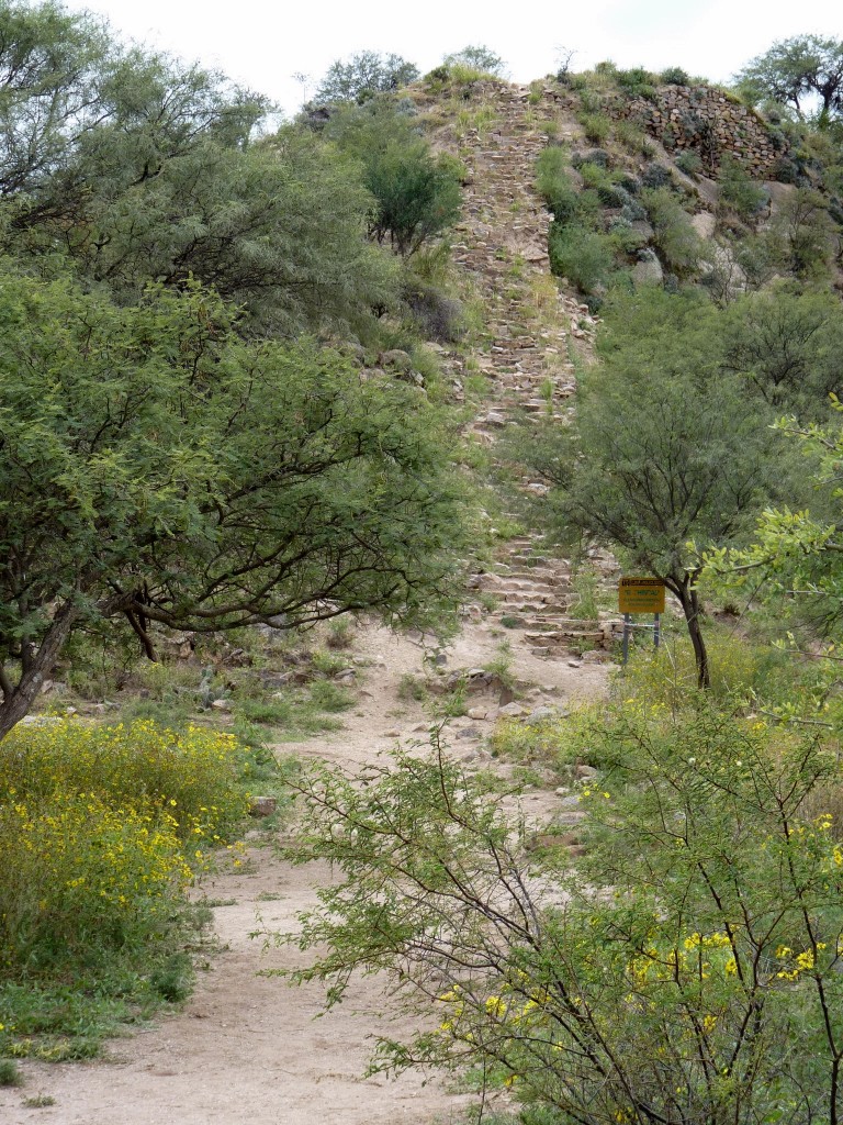 Foto: Ruinas El Shincal - Londres (Catamarca), Argentina