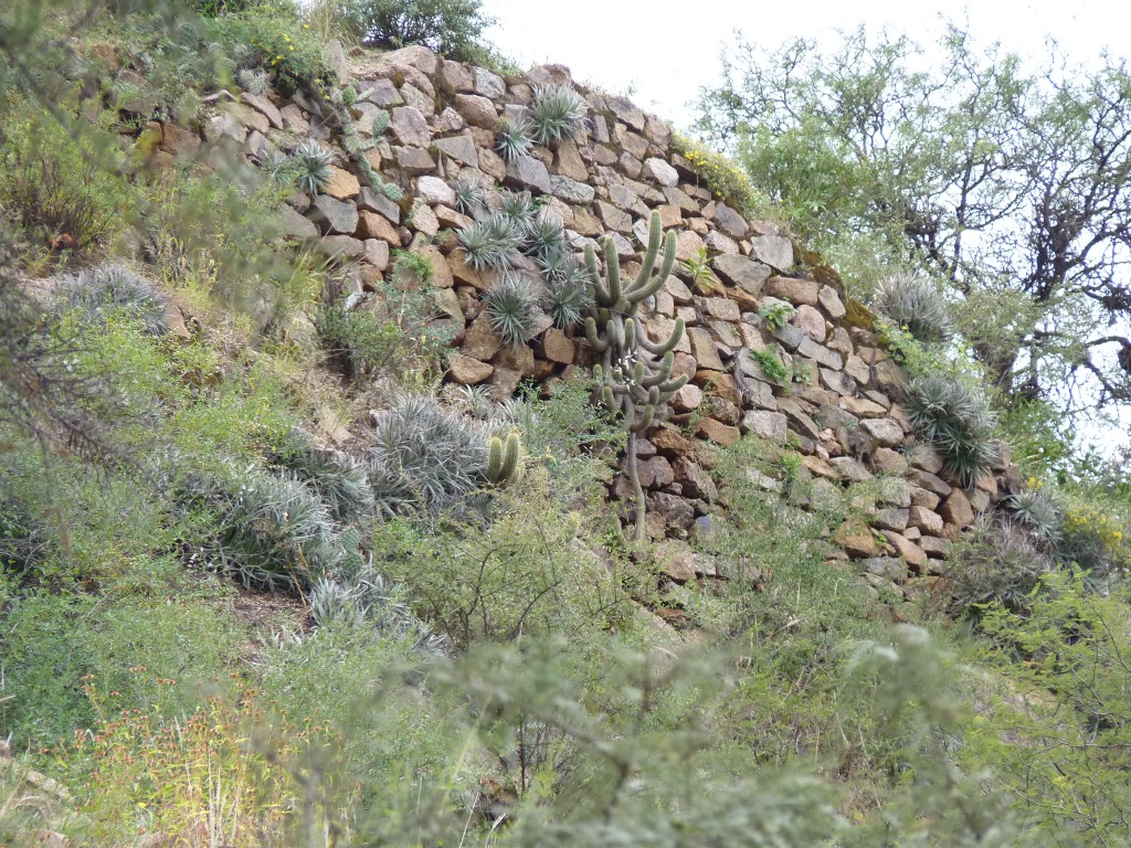 Foto: Ruinas El Shincal - Londres (Catamarca), Argentina