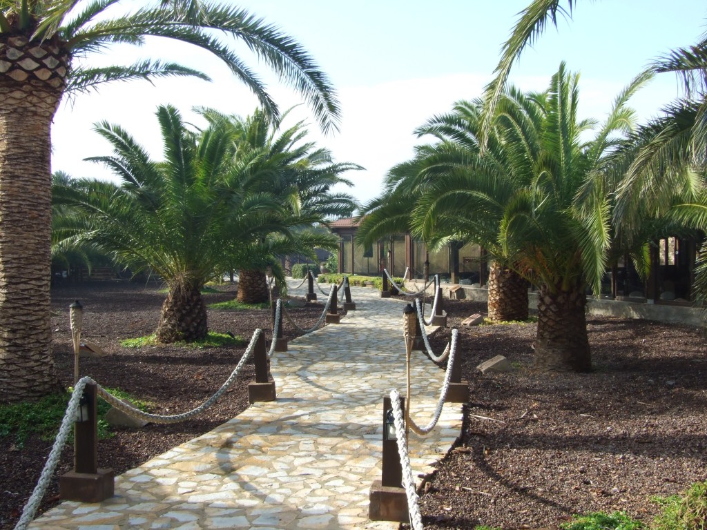 Foto de Salinas de San Pedro del Pinatar (Murcia), España