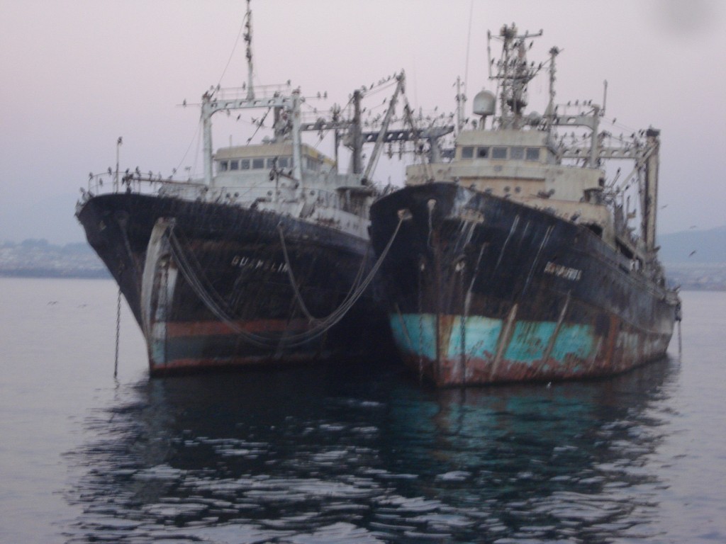Foto: BARCOS - Coquimbo, Chile