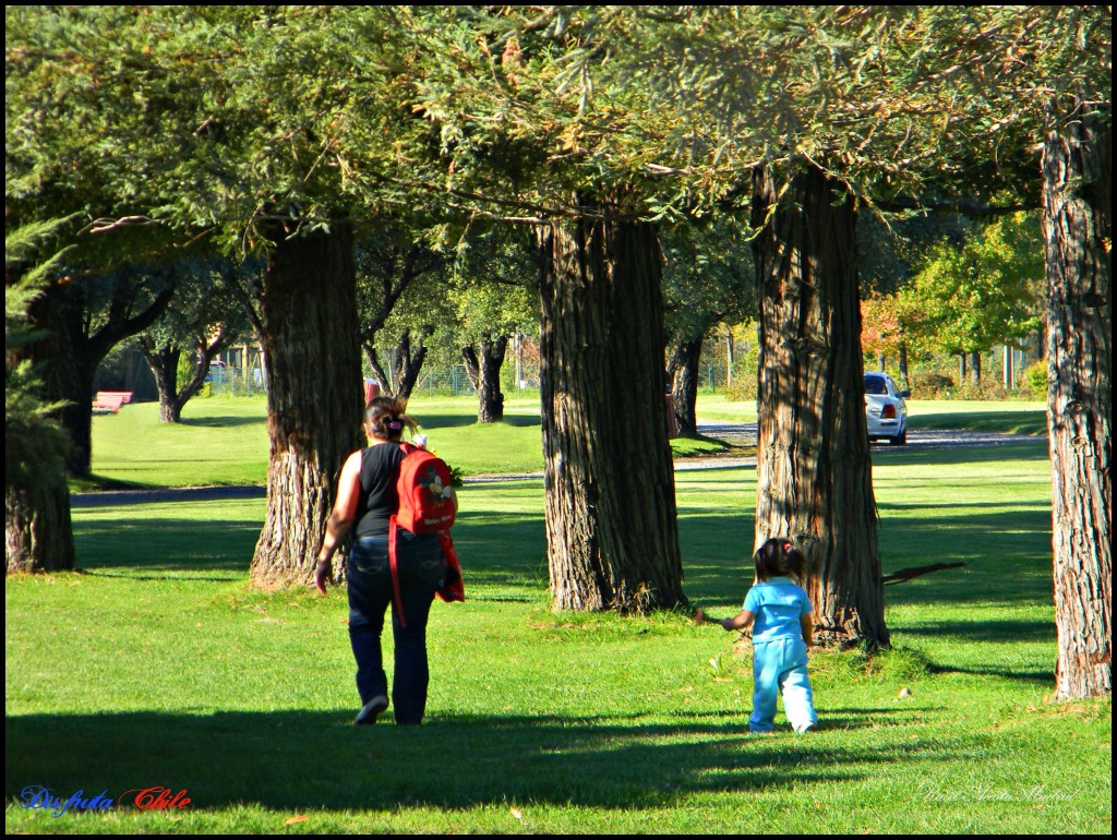 Foto de Rancagua (Libertador General Bernardo OʼHiggins), Chile
