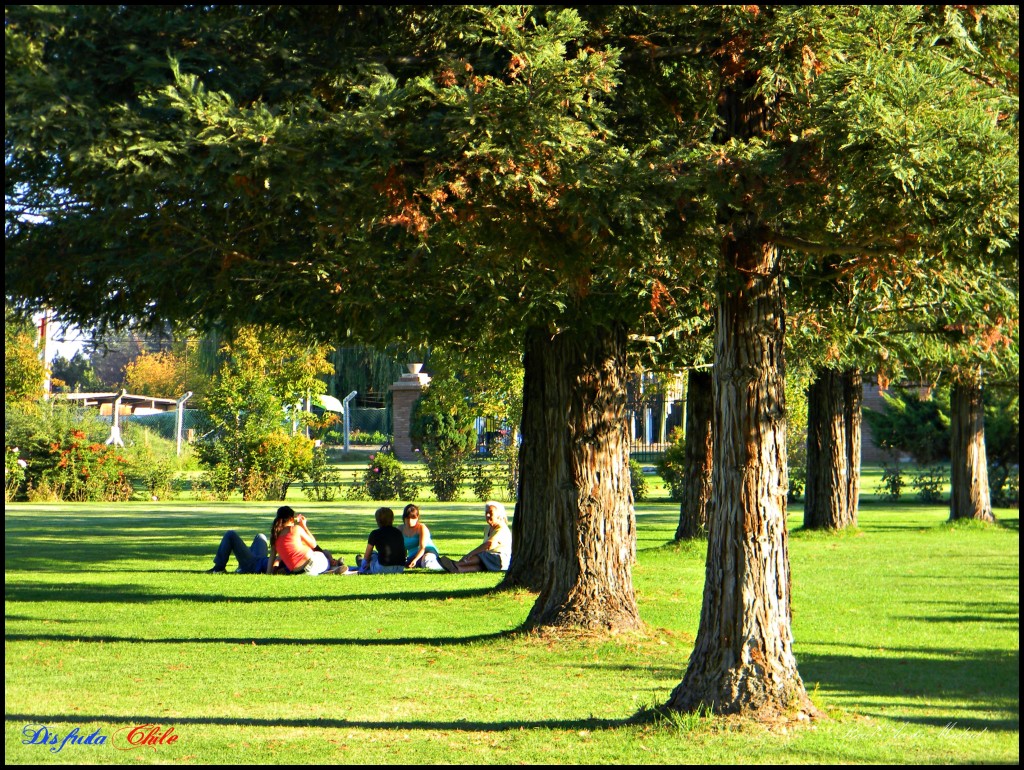 Foto de Rancagua (Libertador General Bernardo OʼHiggins), Chile