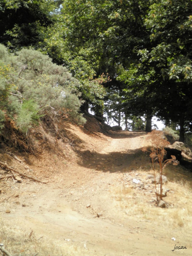 Foto: recorriendo nuestros montes - Teror (Las Palmas), España