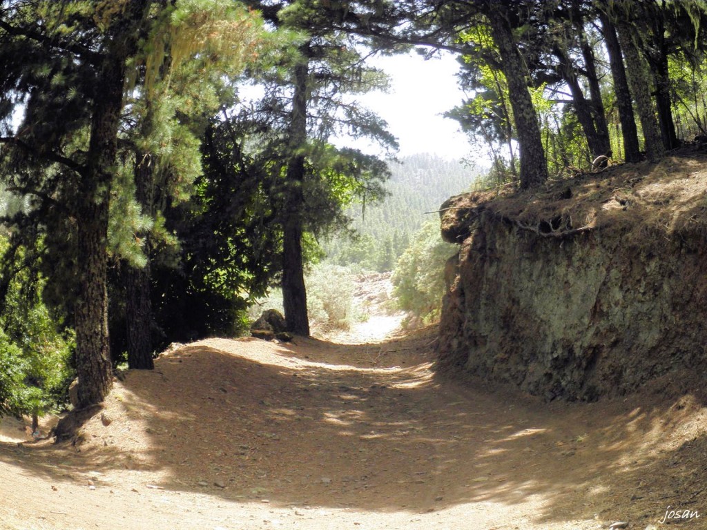 Foto: recorriendo nuestros montes - Teror (Las Palmas), España