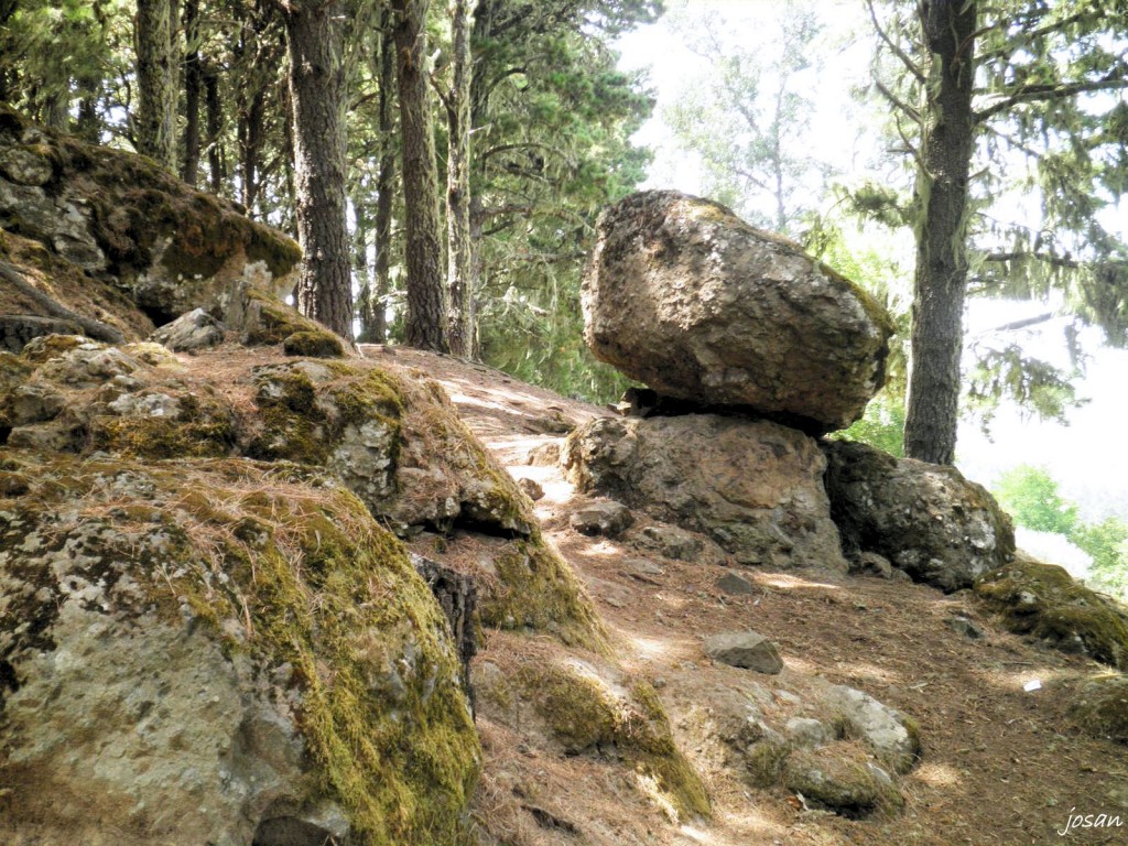 Foto: recorriendo nuestros montes - Teror (Las Palmas), España