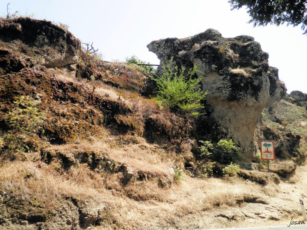 Foto: recorriendo nuestros montes - Teror (Las Palmas), España