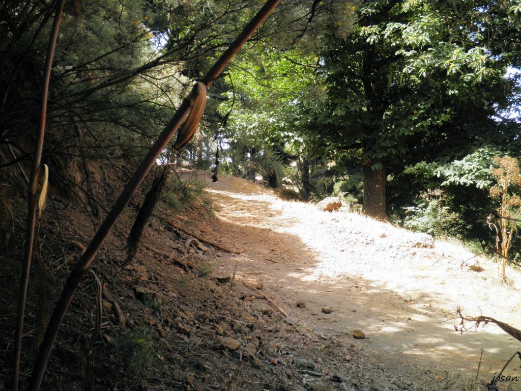 Foto: recorriendo nuestros montes - Teror (Las Palmas), España