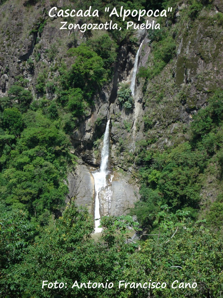 Foto: Cascada Alpopoca - Zongozotla (Puebla), México