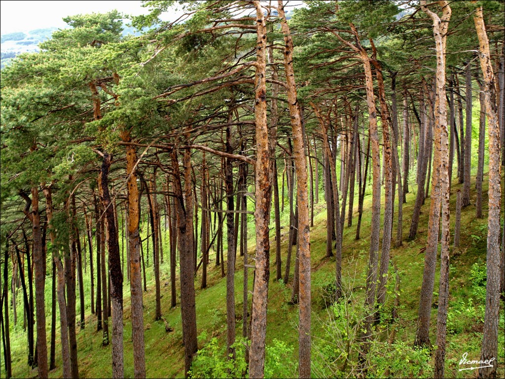 Foto: 110503-079 INNSBRUCK - Innsbruck (Tyrol), Austria