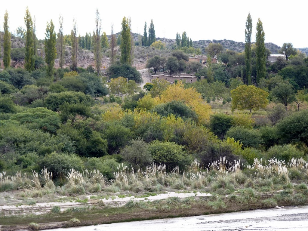 Foto: Circuito Norte Chico - Belén (Catamarca), Argentina