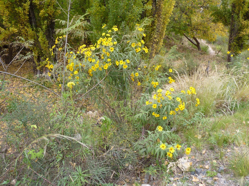 Foto: Circuito Norte Chico - Belén (Catamarca), Argentina
