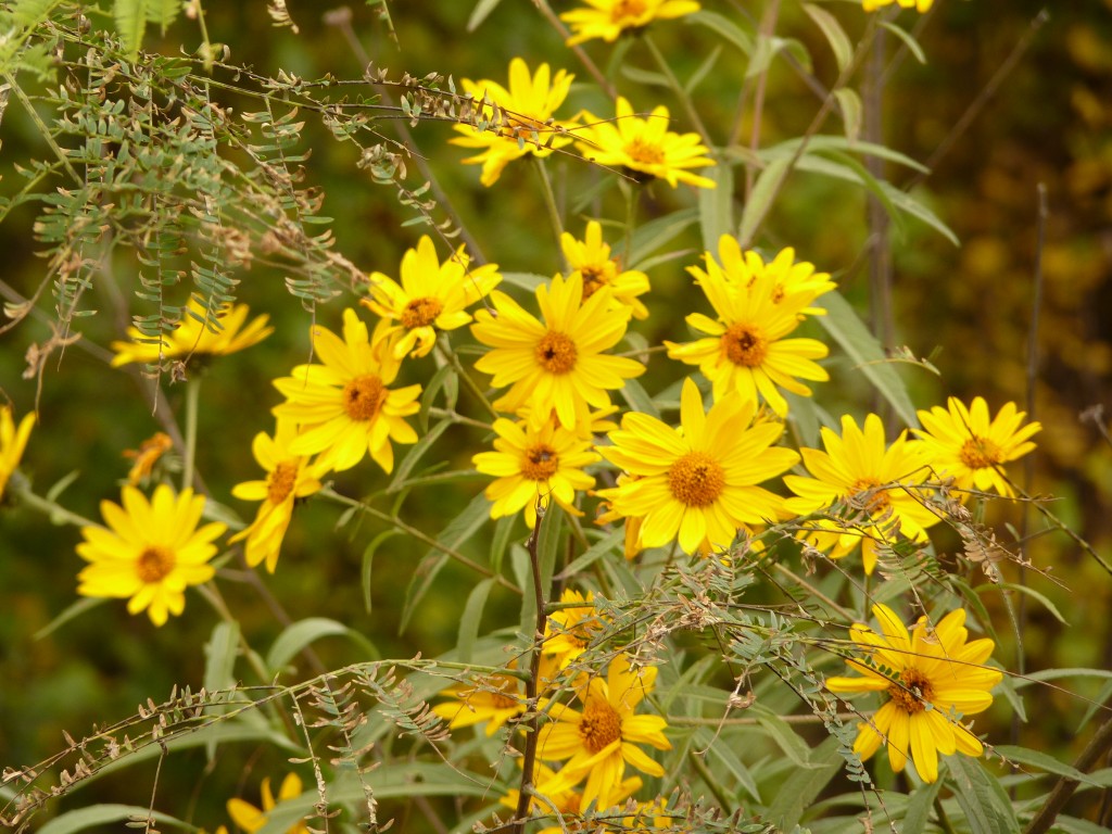 Foto: Circuito Norte Chico - Belén (Catamarca), Argentina