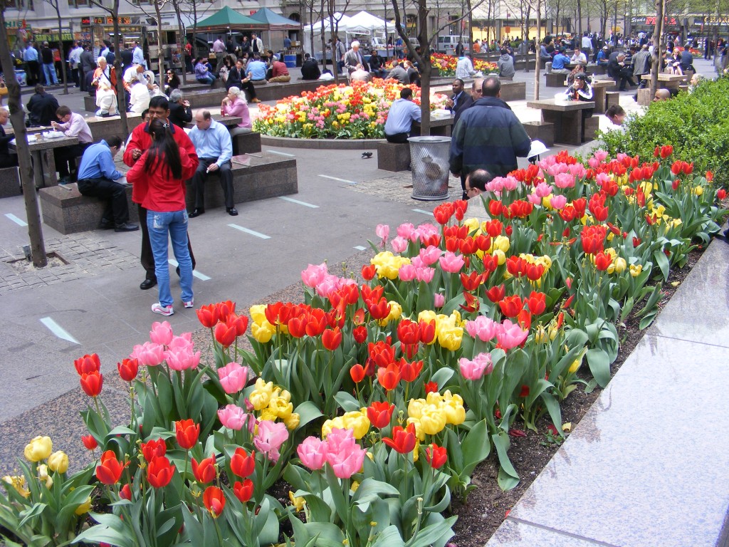 Foto: Wall Street - New York, Estados Unidos