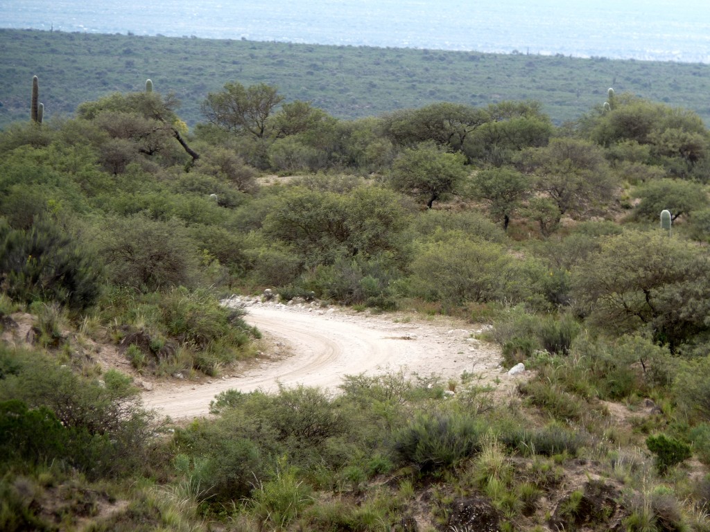 Foto: Circuito Norte Chico - Belén (Catamarca), Argentina