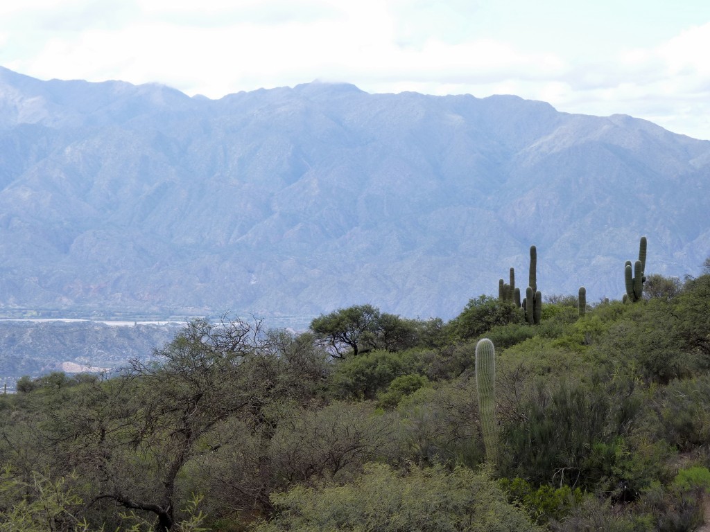Foto: Circuito Norte Chico - Belén (Catamarca), Argentina