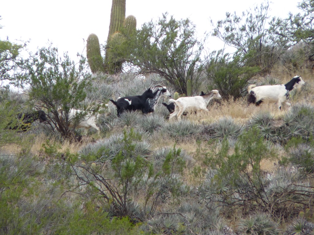 Foto: Circuito Norte Chico - Belén (Catamarca), Argentina
