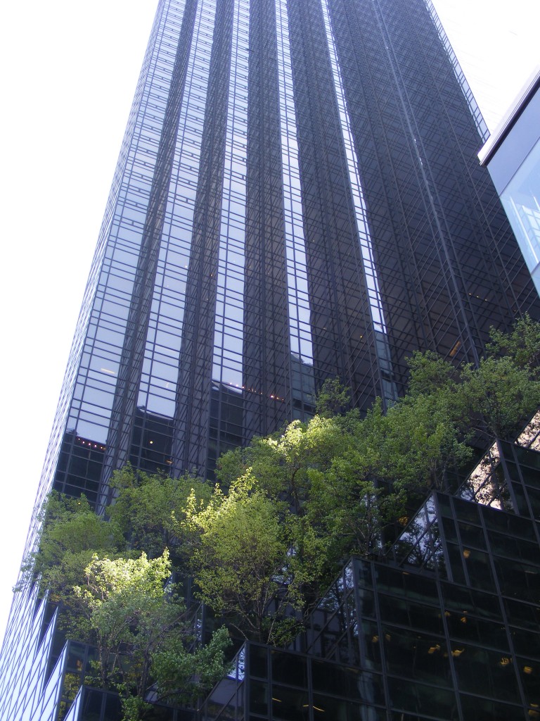 Foto: Fifth Avenue - New York, Estados Unidos