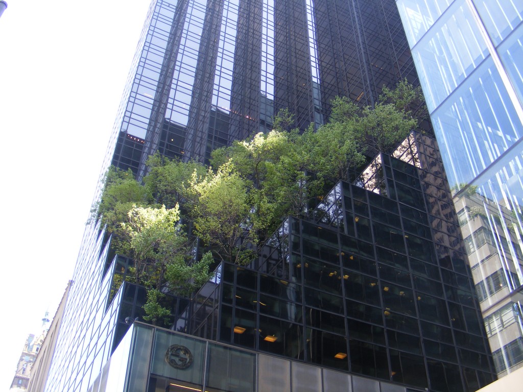 Foto: Fifth Avenue - New York, Estados Unidos