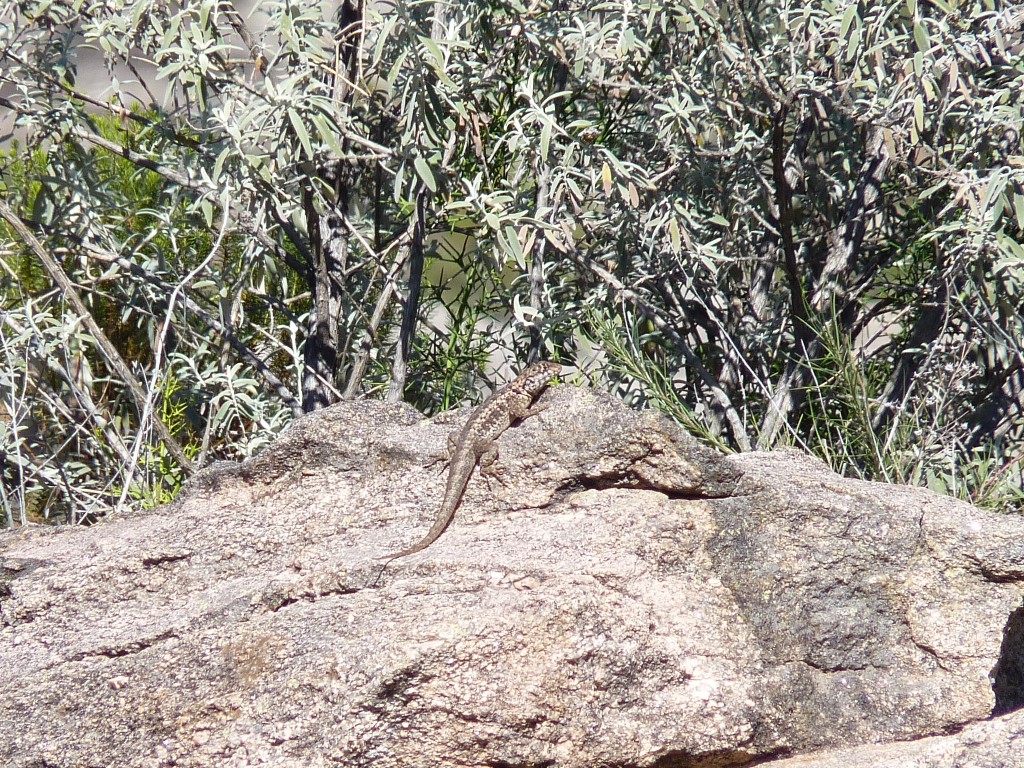 Foto: Balneario La Toma - Mina Clavero (Córdoba), Argentina