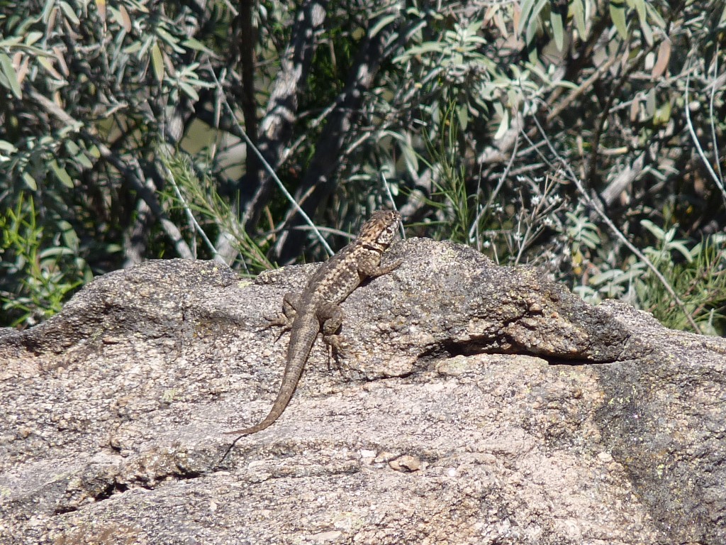 Foto: Balneario La Toma - Mina Clavero (Córdoba), Argentina