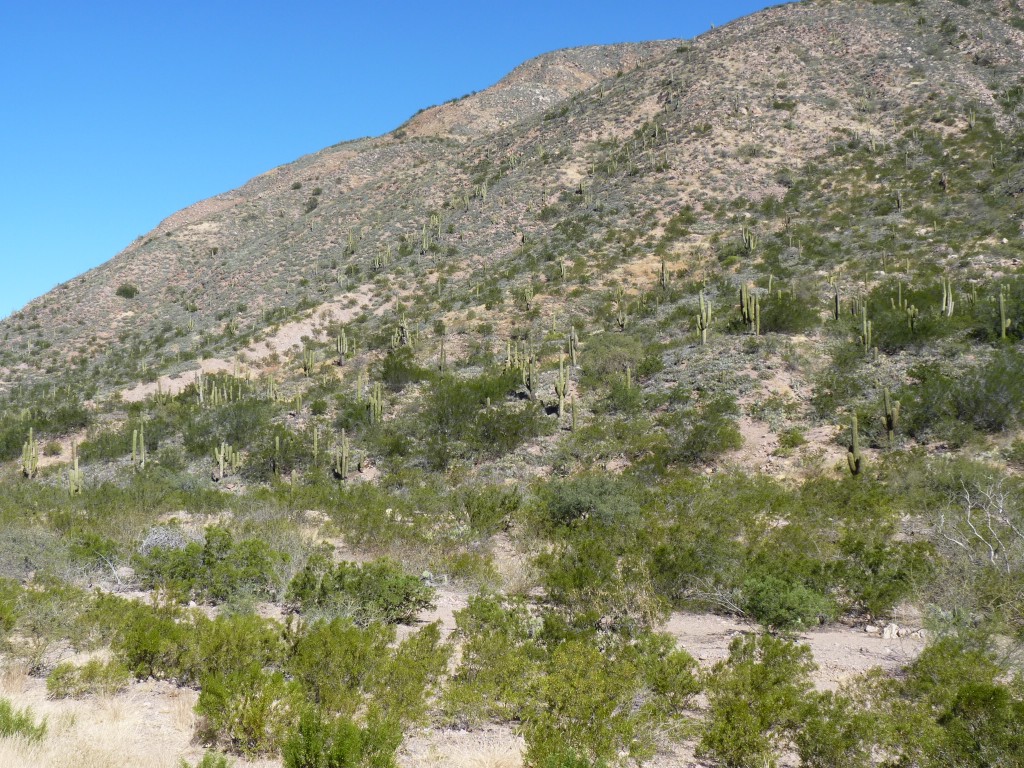 Foto: Balneario La Toma - Mina Clavero (Córdoba), Argentina
