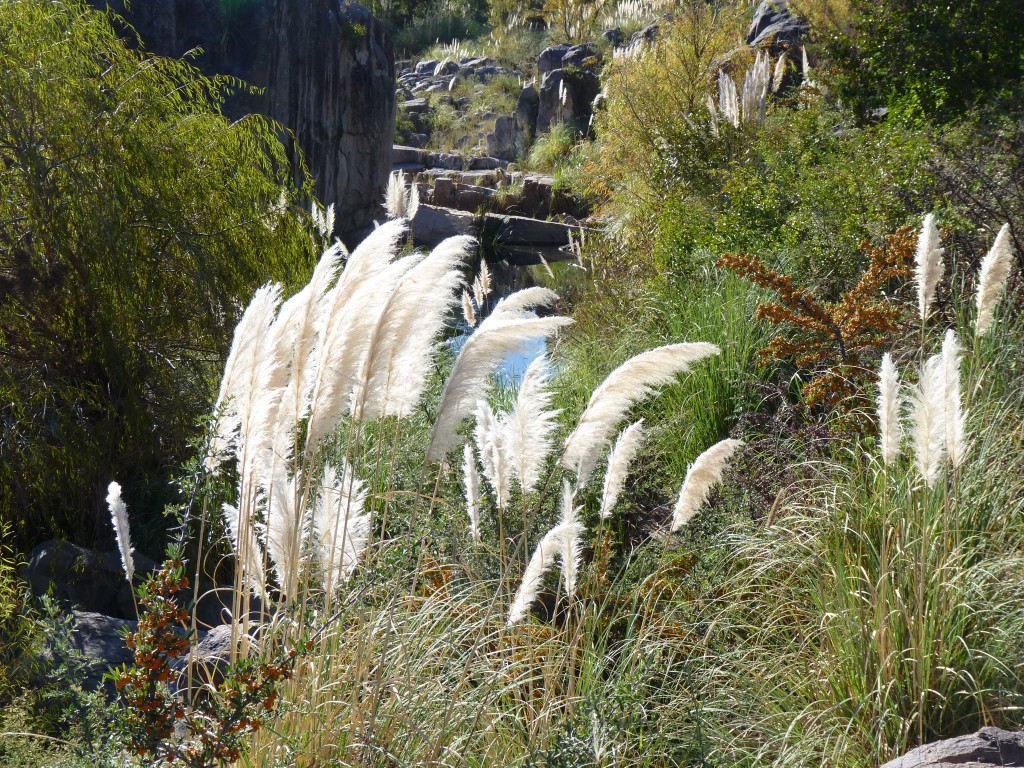 Foto: Los Elefantes - Mina Clavero (Córdoba), Argentina