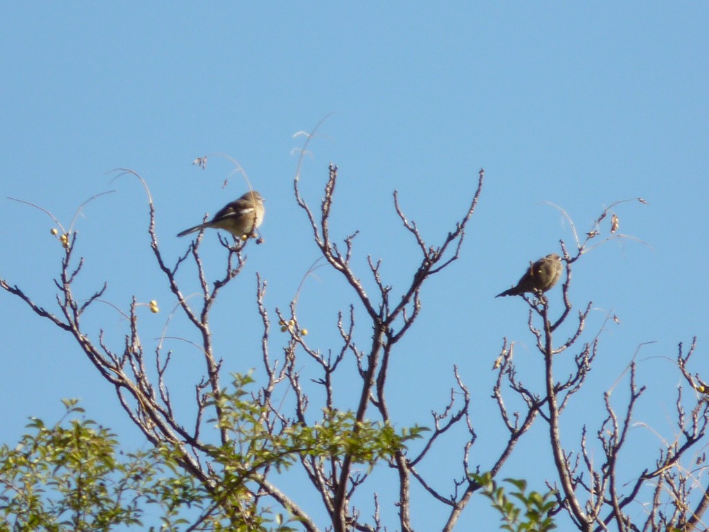 Foto: Balneario - Mina Clavero (Córdoba), Argentina